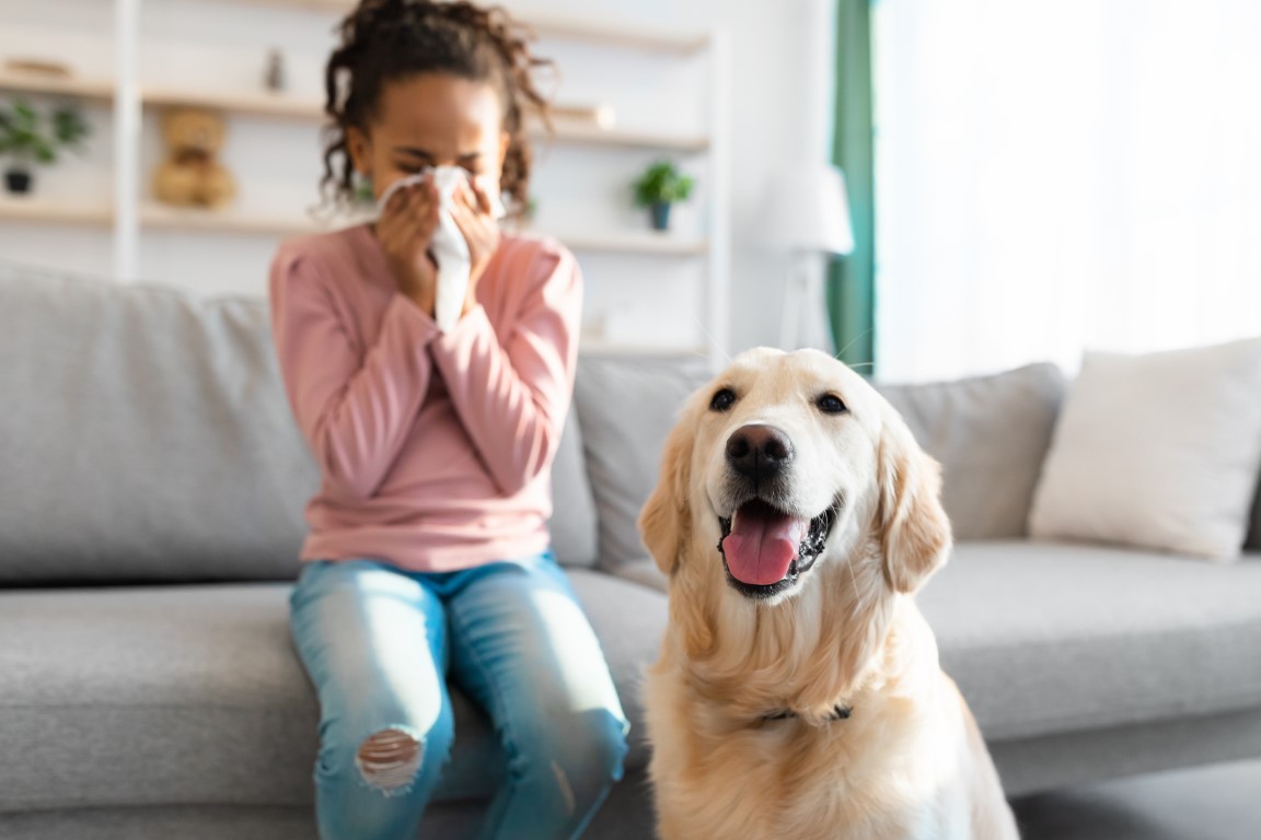petite fille allérgique aux chiens