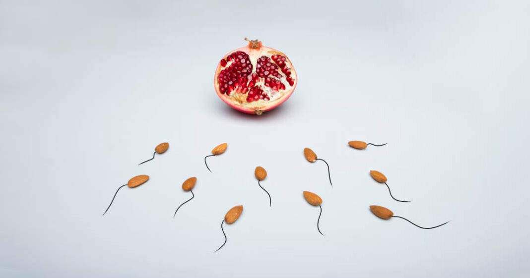 Certains lubrifiants sont très mauvais pour la progression des spermatozoïdes