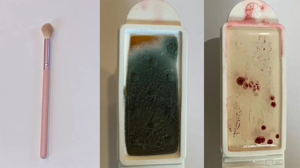Le prélèvement bactérien d'un pinceau de maquillage