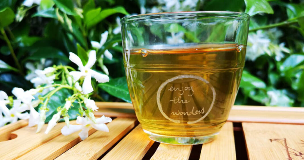 Le thé vert est une boisson avec de nombreux avantages pour notre santé