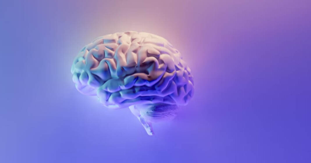 La vitamine D a une influence notable sur les fonctions cognitives