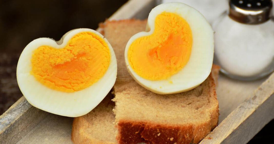 Consommé avec modération un oeuf par jour aide à éviter les maladies cardiovasculaires