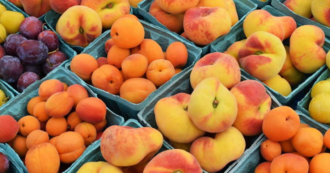 Consommer des fruits crus aiderait à lutter contre l'anxiété et la dépression
