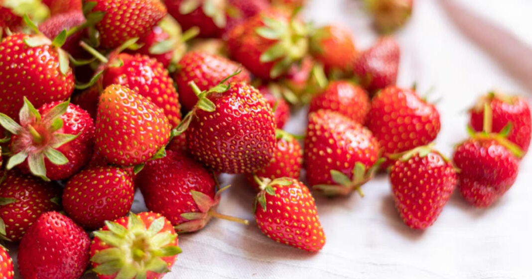 Consommer des fraises est bon pour votre cerveau