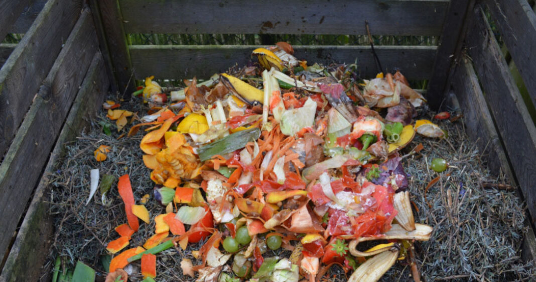 Attention à ne pas placer de plastique au composteur