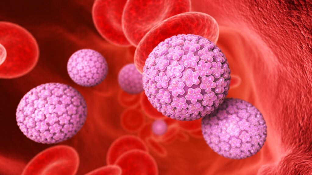 Illustration en 3D du papillomavirus circulant dans le sang