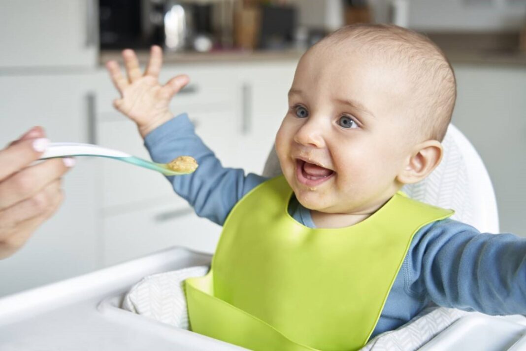 diversification alimentaire pour un bébé allaité