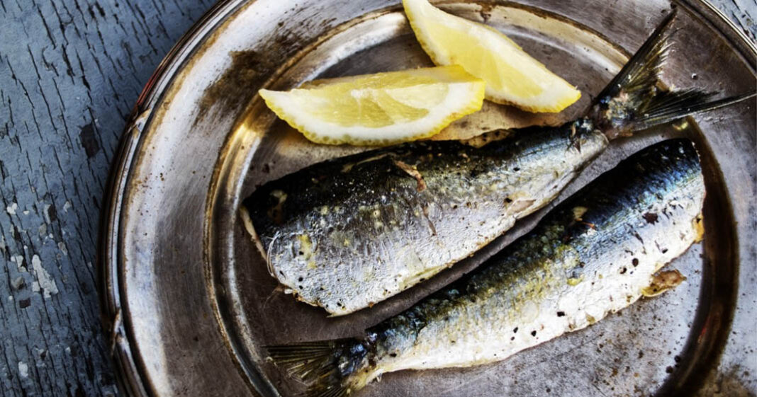 Sardines, thon et saumon sont des poissons bons pour la santé cardiovasculaire