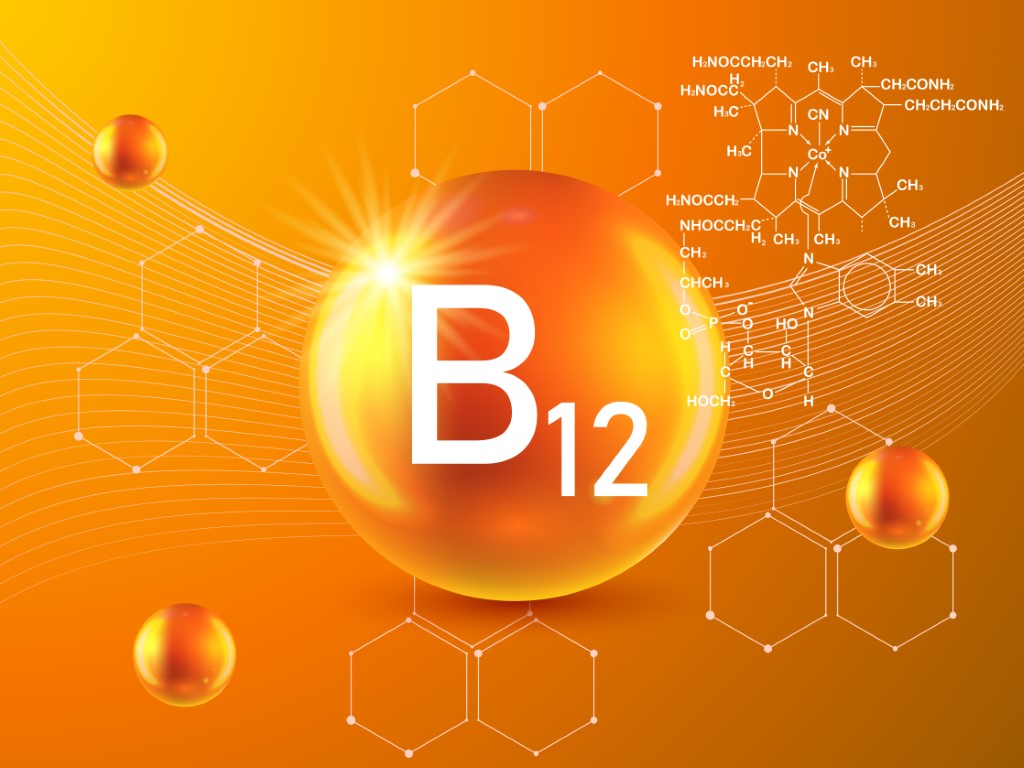 La vitamine B12 est très importante dans l'organisme