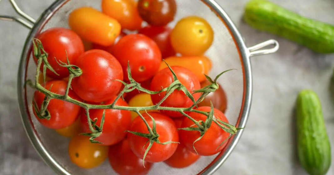 La peau des tomates cerises est meilleure que celles des grosses tomates