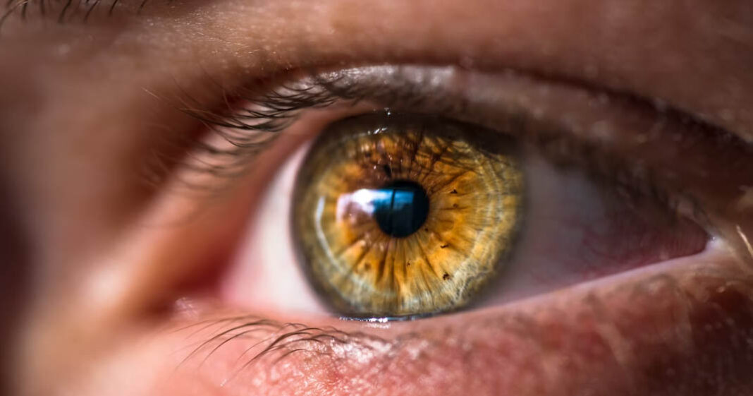 Observer les yeux peut aider à détecter la maladie de Parkinson