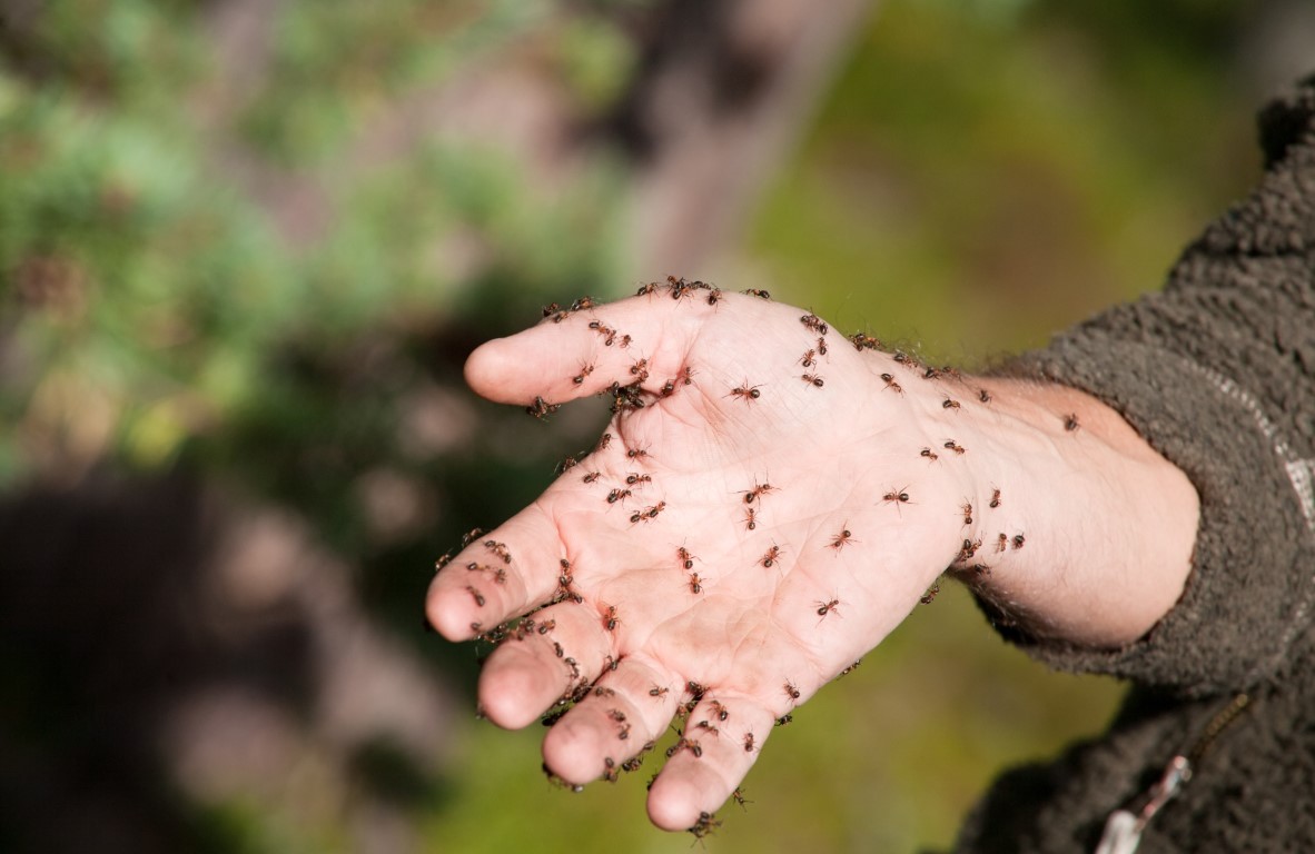 Pourquoi j'ai des fourmis dans les mains ? - Santé News