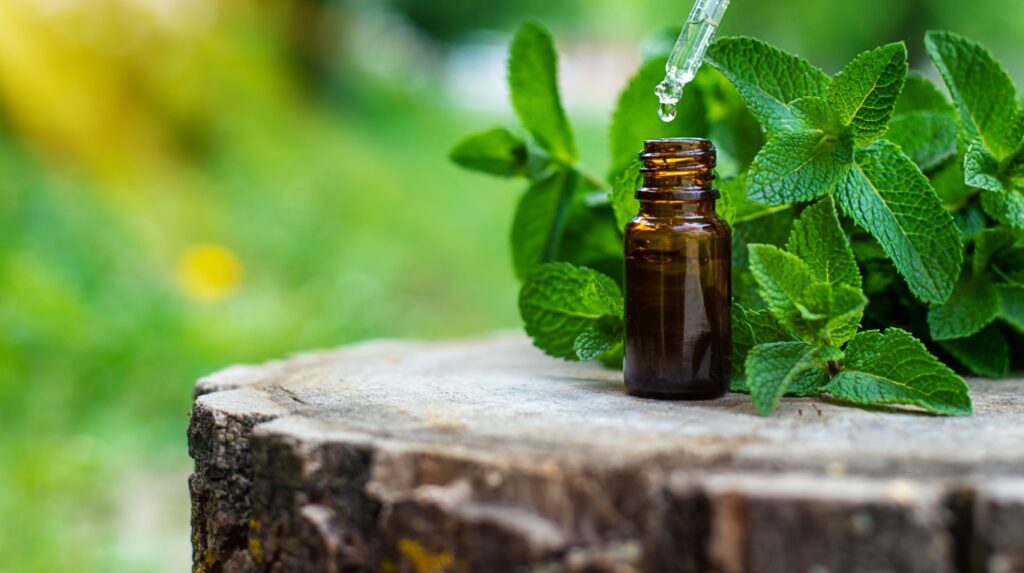 L'huile essentielle de menthe poivrée aide à calmer la douleur gencive