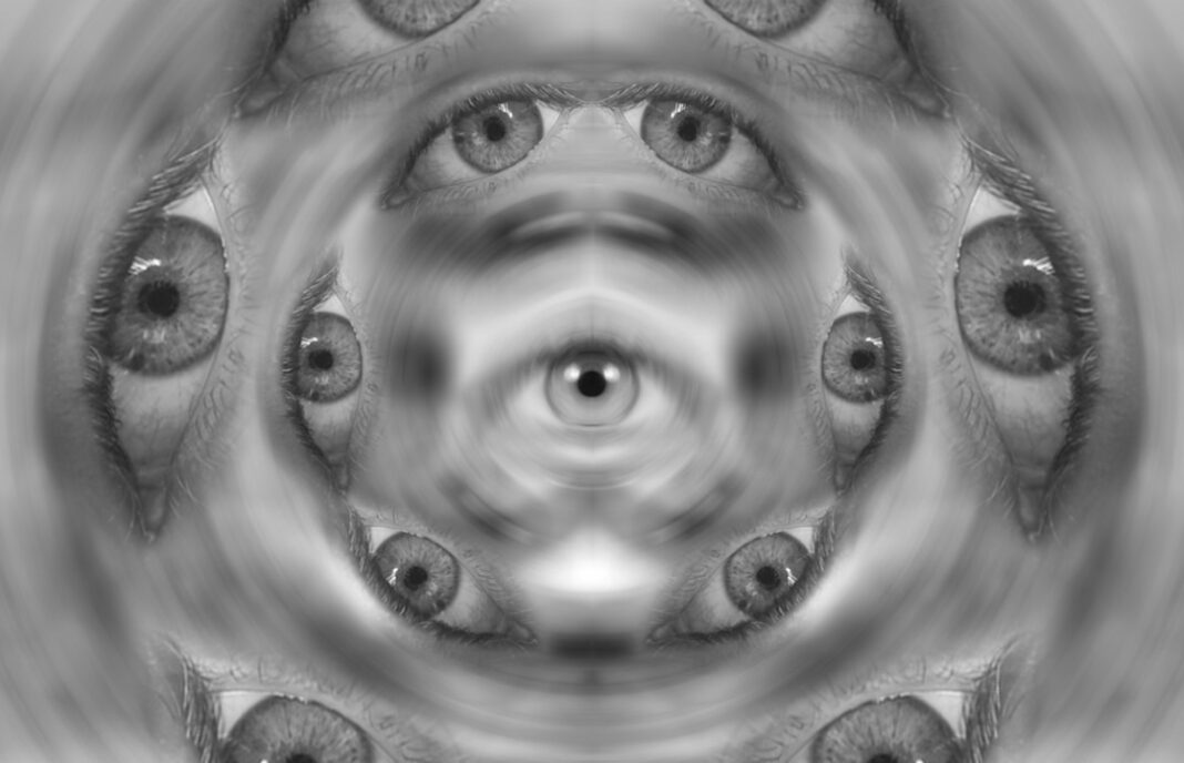 champignon hallucinogèbes interdits en france