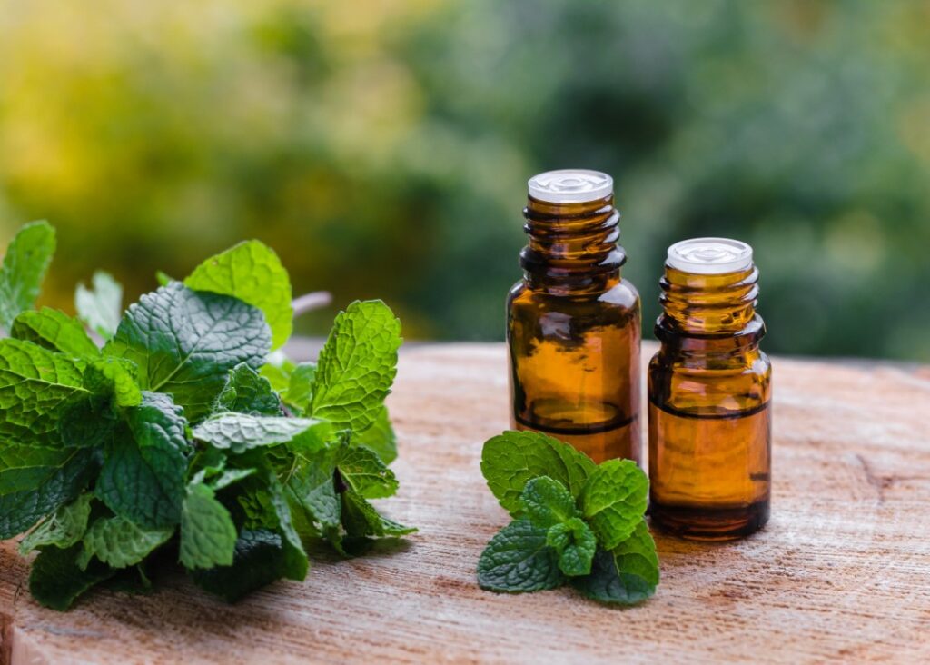 L'huile essentielle de menthe poivrée