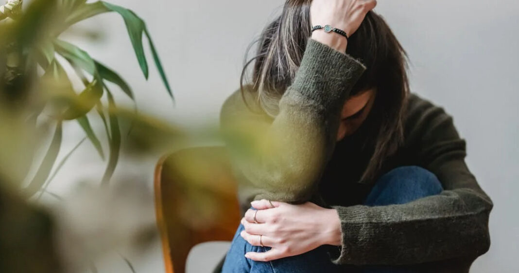 Le microbiote intestinal pourrait avoir un impact sur le développement de l'anxiété