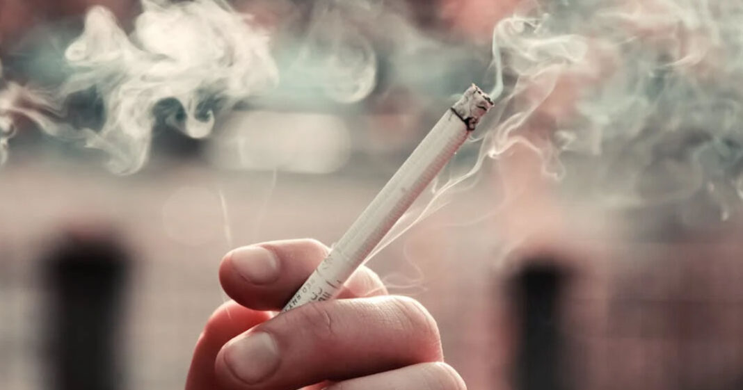 La diminution u système immunitaire à cause de la cigarette peut durer pendant plusieurs années