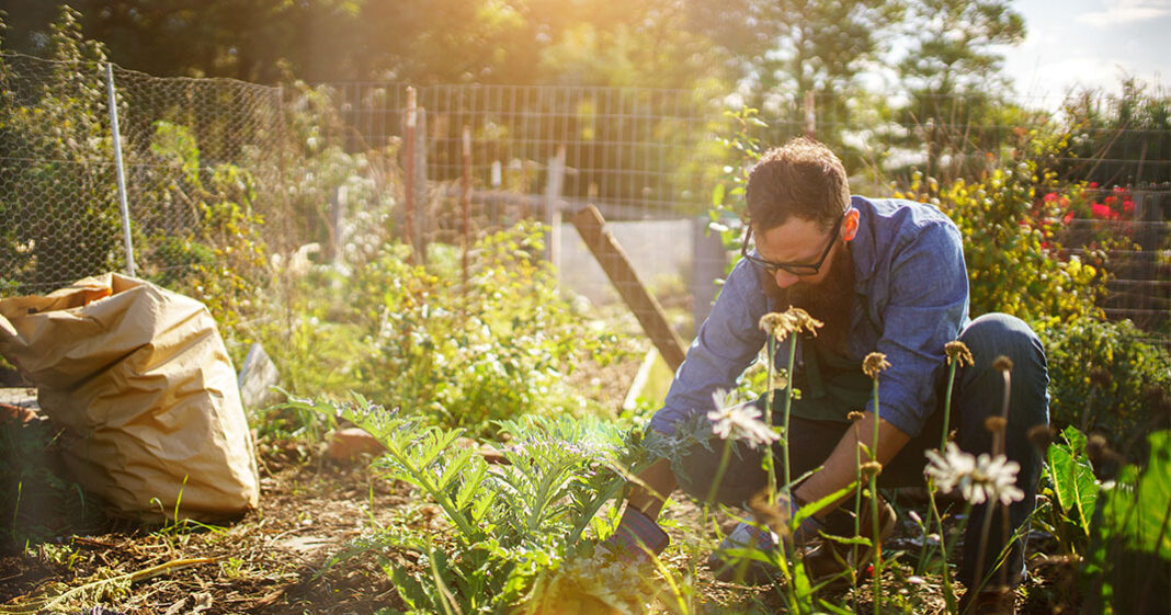 Une étude suggère que les activités d'extérieur comme le jardinage ou la chasse peuvent être mauvaises pour les hommes