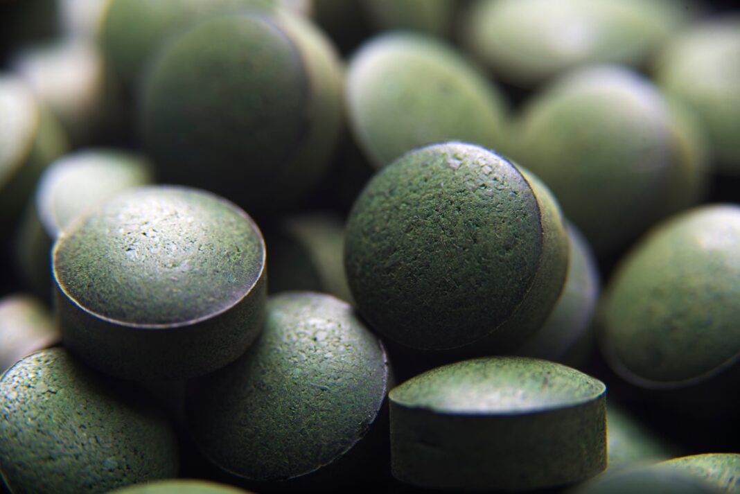 spiruline bio