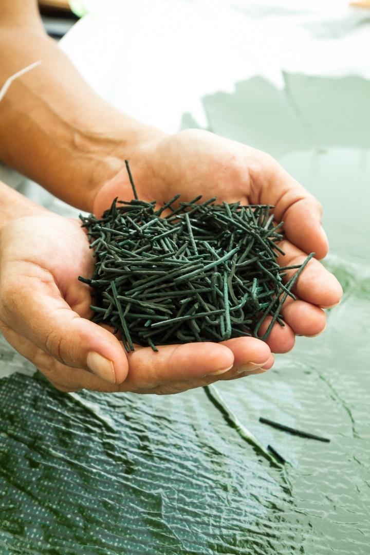 Les multiples bienfaits de la spiruline pour la santé