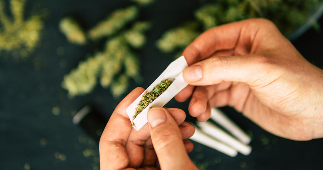 L'Allemagne autorise depuis le 1er avril 2024 la consommation de cannabis récréatif