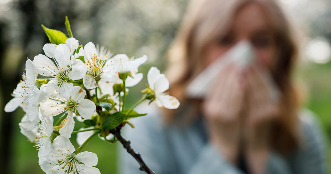 Les allergies de printemps ont quelques semaines d'avance