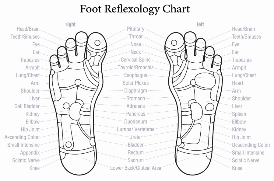 carte de reflexologie